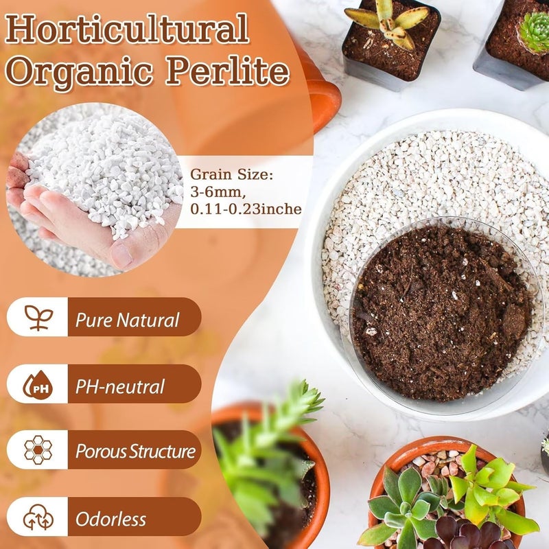 Riare 4 Quarts Organic Perlite for Plants - Horticultural Perlite Soil Amendment for Plants Potting Mix, Natural Chunky Perlite Soil Additive Conditioner Improve Root Growth, Drainage and Ventilation - Image 2